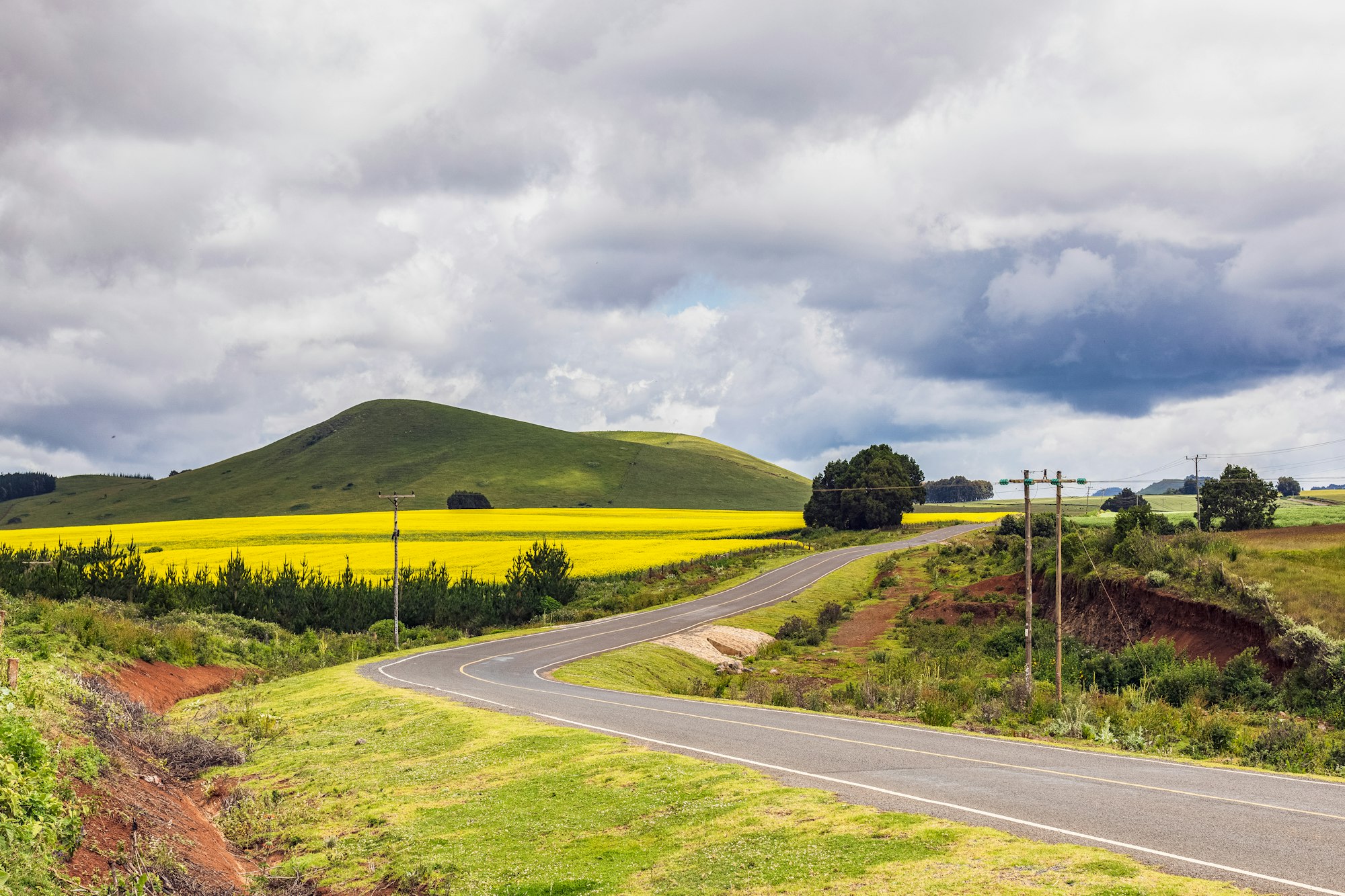 Naivasha